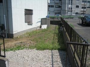 ����ԡ������ե��������