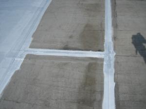 Ȭ���һԡ������ɿ奷���ȥȥå�����