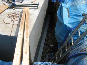 ����� �ϲ�������