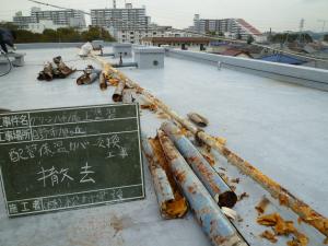日野市 マンション屋上防水