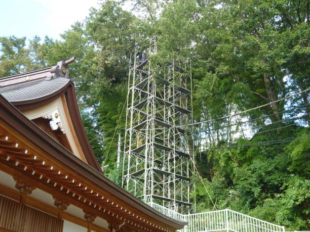八王子市　伐採工事