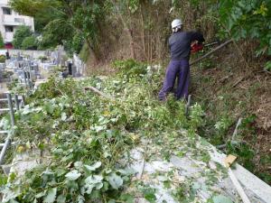 八王子市 伐採工事