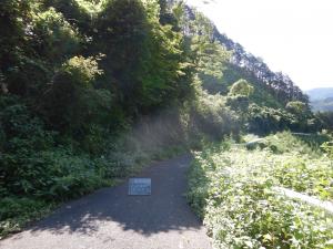 �����ȯ�����ҳ����칩��