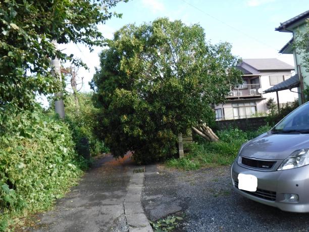 台風、地震などの被害