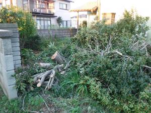 �������Ͽ̤ʤɤ��ﳲ