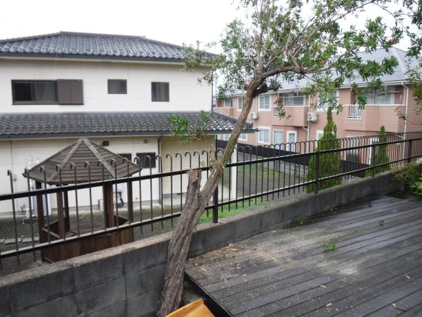 ����ԡ�����Ȳ�ι���