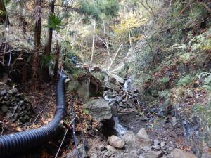 奥多摩湖付近 予防治山工事