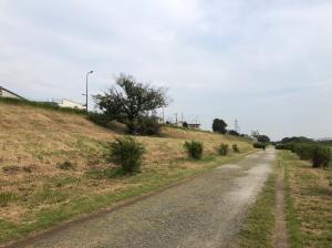 多摩川沿仮設搬入路工事